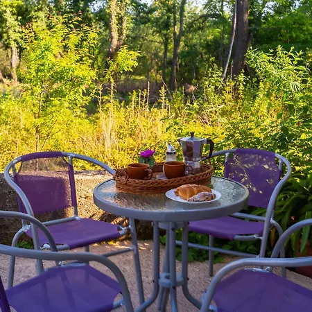 Pet Friendly In With Wifi Risika